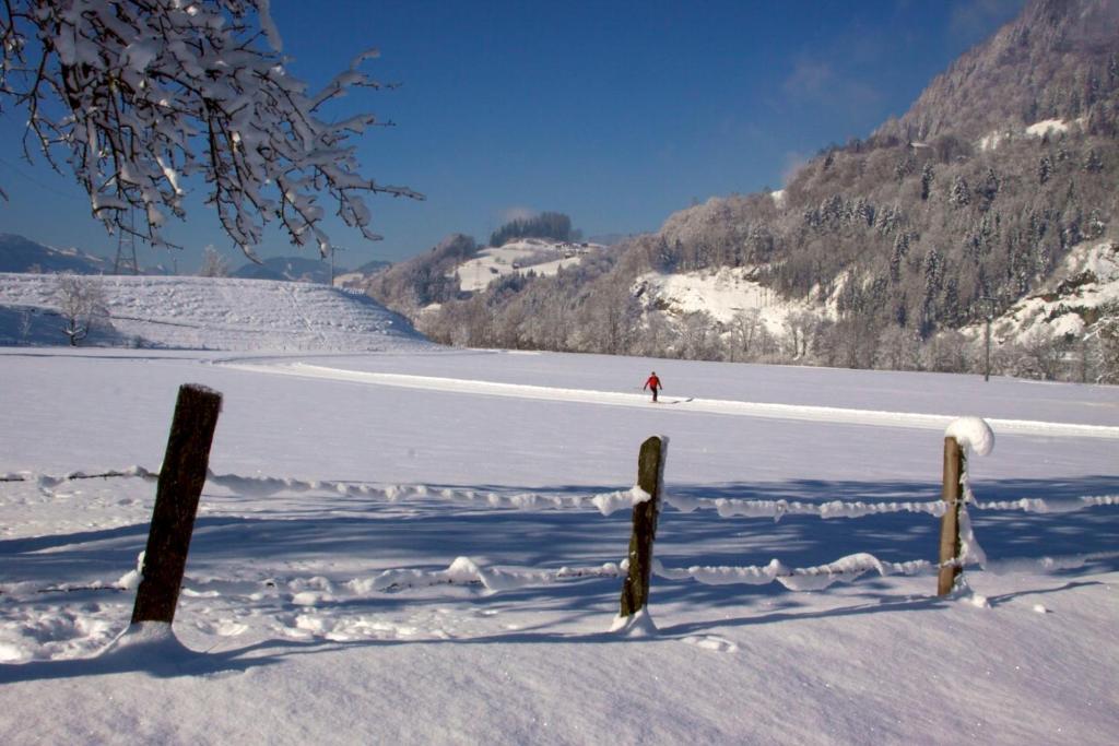 Aparthotel Der Jagdhof à Sankt Johann im Pongau Extérieur photo